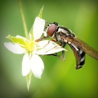 /album/ferreteria-hernandez/photolia-a02-jpg/