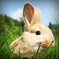 /album/ferreteria-hernandez/photolia-a03-jpg/