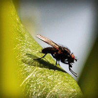 /album/ferreteria-hernandez/photolia-a04-jpg/