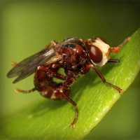 /album/ferreteria-hernandez/photolia-a06-jpg/