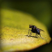 /album/ferreteria-hernandez/photolia-a07-jpg/